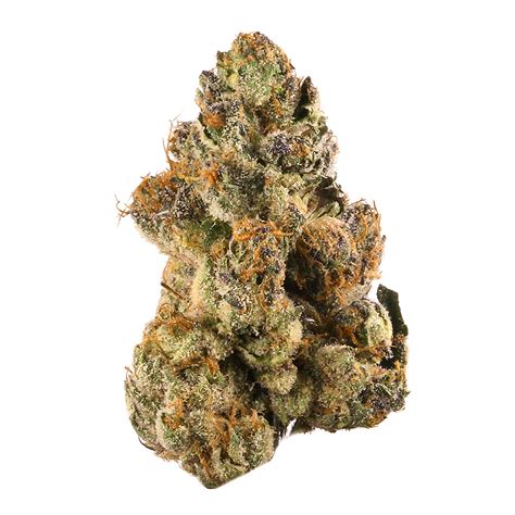 what is gelato cannabis